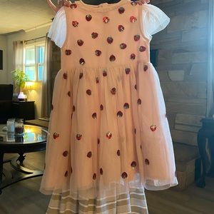 Mini Biden Strawberry Sequin Dress